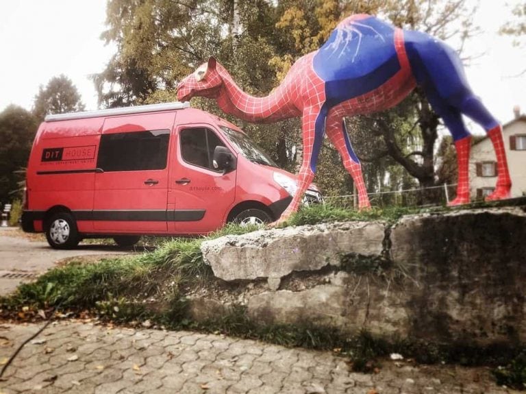 SpiderCamel