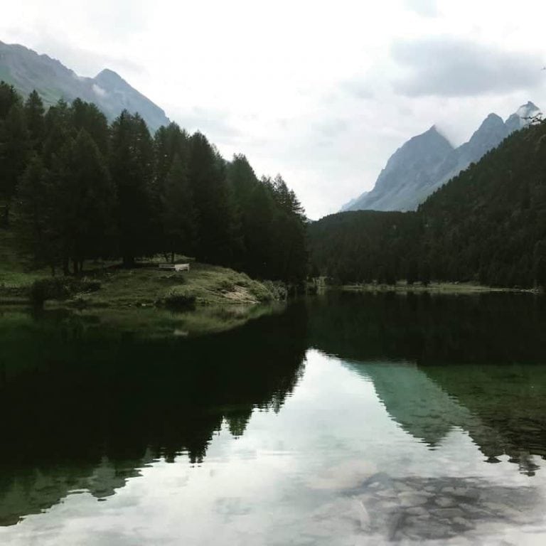 B3BA1217-66B3-4A99-A0D0-EDEA16C49F35