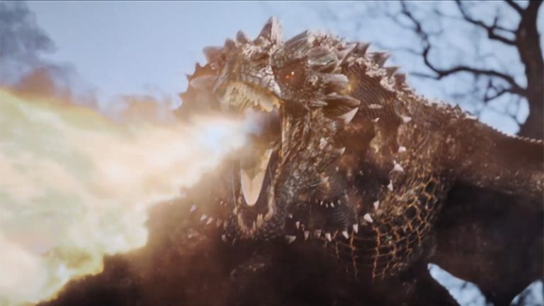 Coop-Dragon